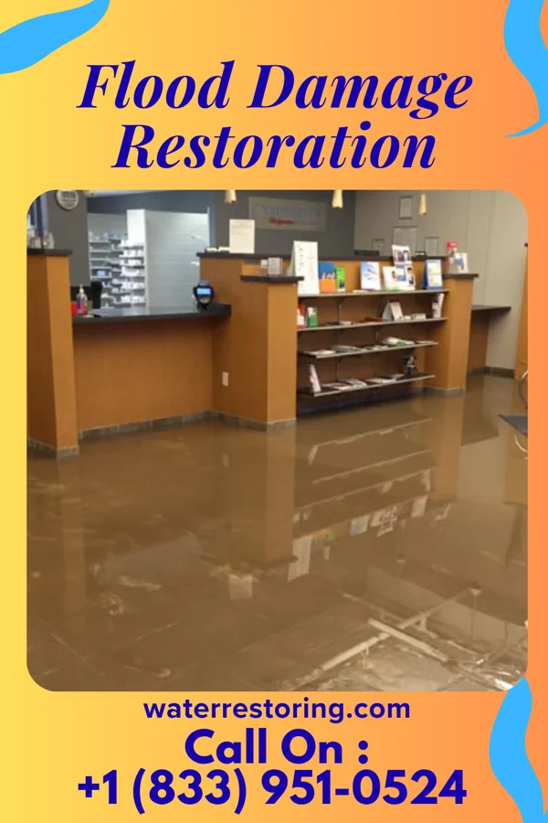 Flood Damage Restoration in Talahi Island, GA
