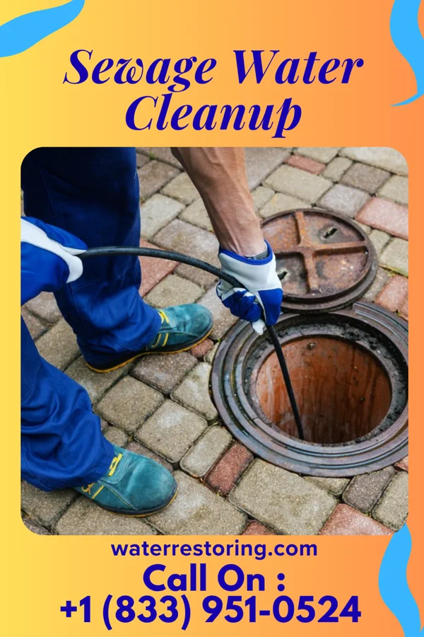 Sewage Water Cleanup in Talahi Island, GA